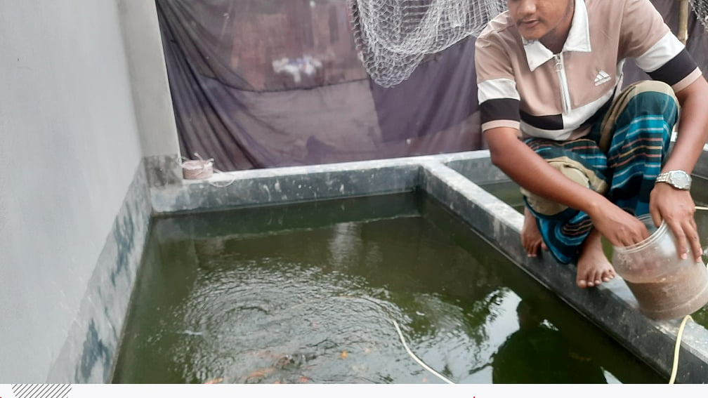 মাদ্রাসা শিক্ষকের স্বপ্নপূরণ: ৪০ টাকার দুটি মাছ থেকে গড়েছেন ৩০ লাখ টাকার হ্যাচারি